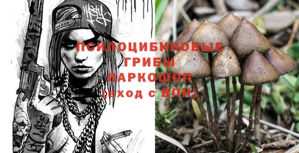 твердый Абинск